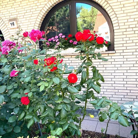 Villa Orchard Frankfurt 5*