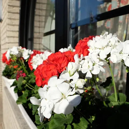 Bed & Breakfast Villa Orchard Frankfurt 5*