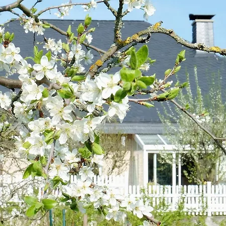 Bed & Breakfast Villa Orchard Frankfurt 5*