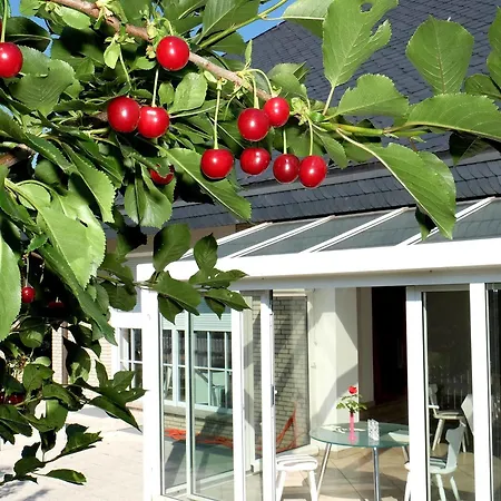 Villa Orchard Frankfurt Bed & Breakfast
