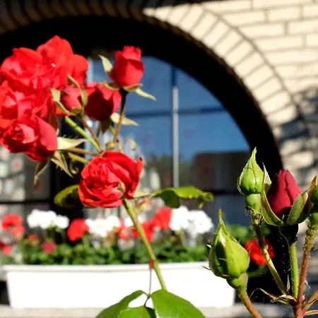 Bed & Breakfast Villa Orchard Frankfurt Kriftel