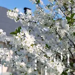 Orchard Frankfurt - Trade Fair Airport Kriftel