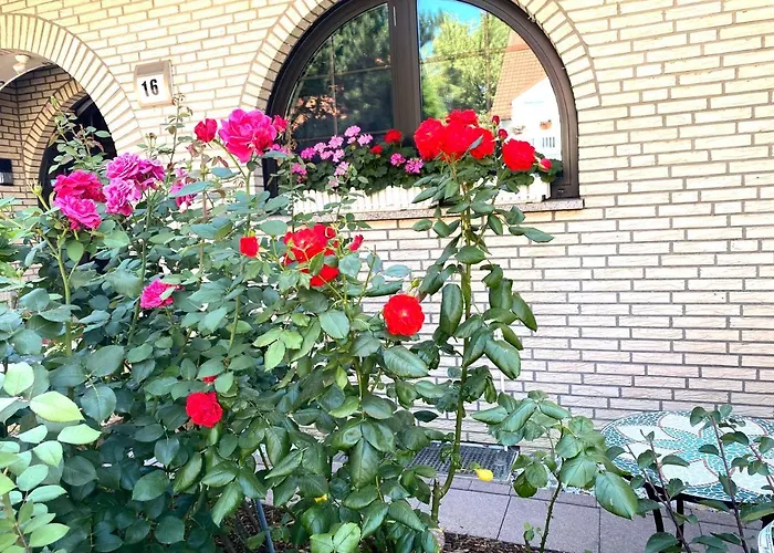 Orchard Frankfurt 5*