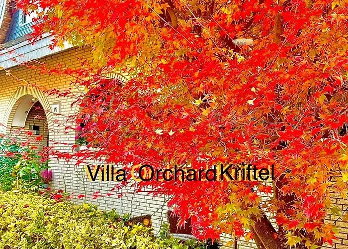 Villa Orchard Frankfurt - Trade Fair Airport Kriftel