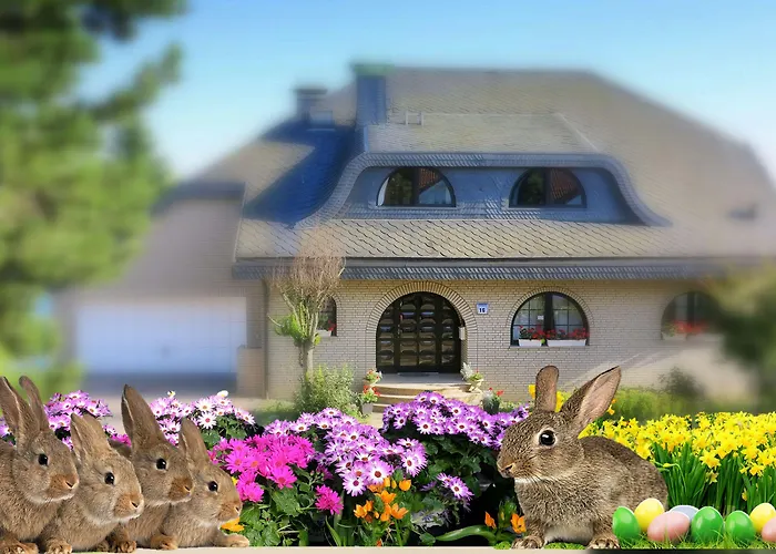 Orchard Frankfurt Bed & Breakfast