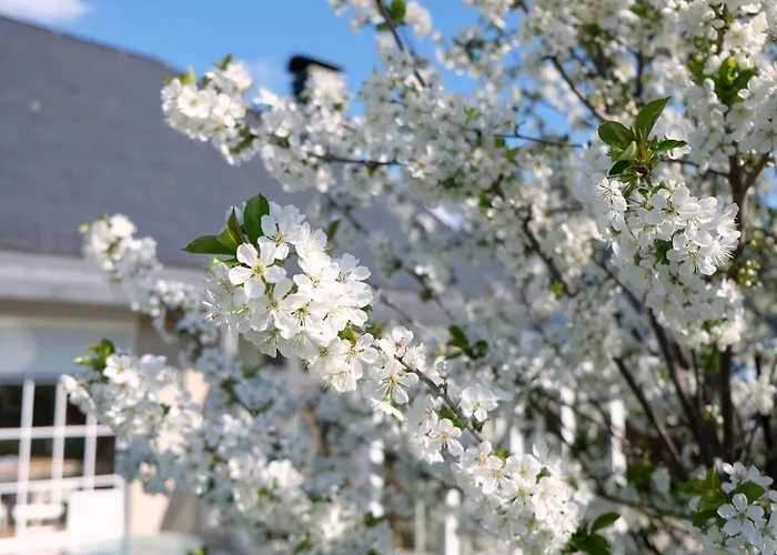 Orchard Frankfurt Kriftel