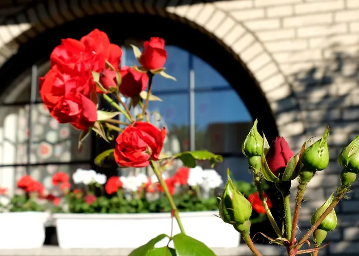 Orchard Frankfurt 5* Kriftel