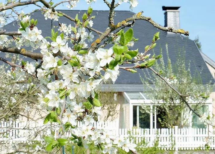 فندق مبيت وإفطار Orchard Frankfurt 5*