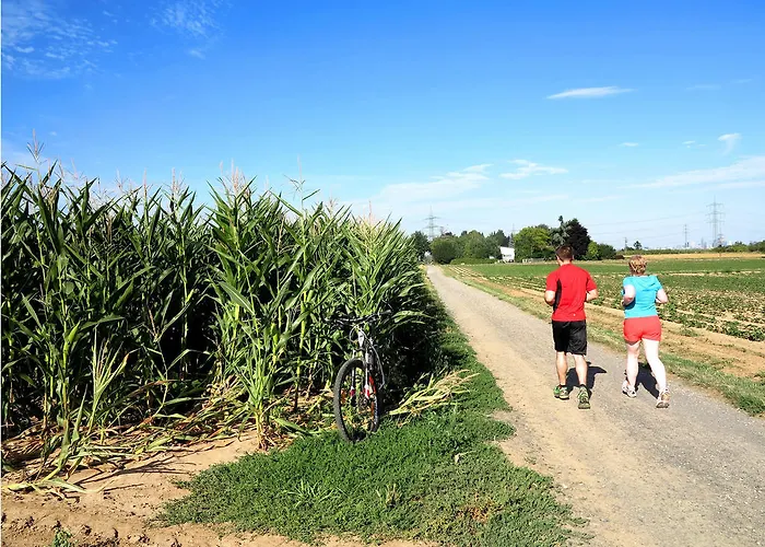 Bed & Breakfast Orchard Frankfurt