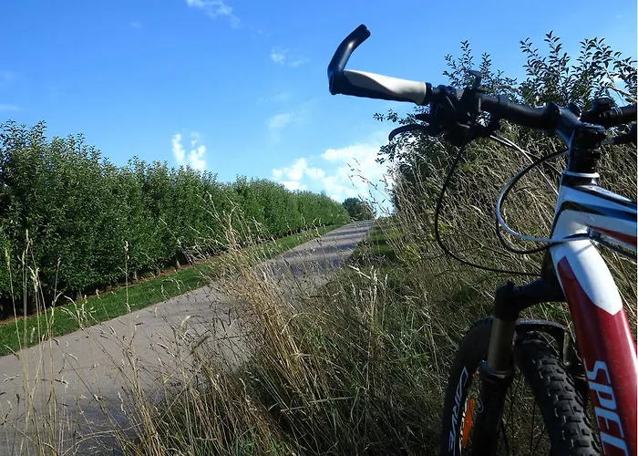 فندق مبيت وإفطار Orchard Frankfurt 5*